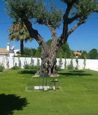 New Amazing In Albufeira Villa *