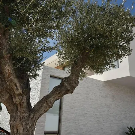 New Amazing In Albufeira Guia (Faro)